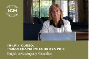 N1-PI - Curso Psicoterapia Integrativa PNIE (PI.PNIE).
