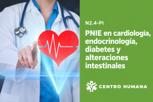 N2.4-PI — PNIE en cardiología, endocrinología, diabetes y alteraciones intestinales